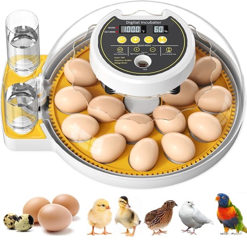 Upgrade incubatrice per - upgrade,