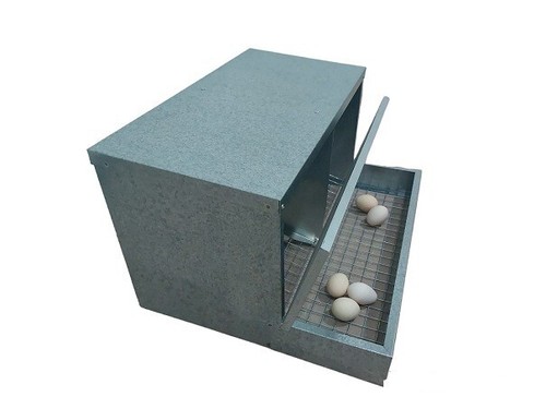 Nido cova galline - nido, x