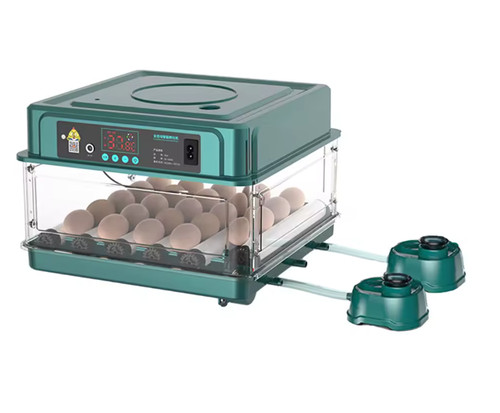 Incubatrice automatica per