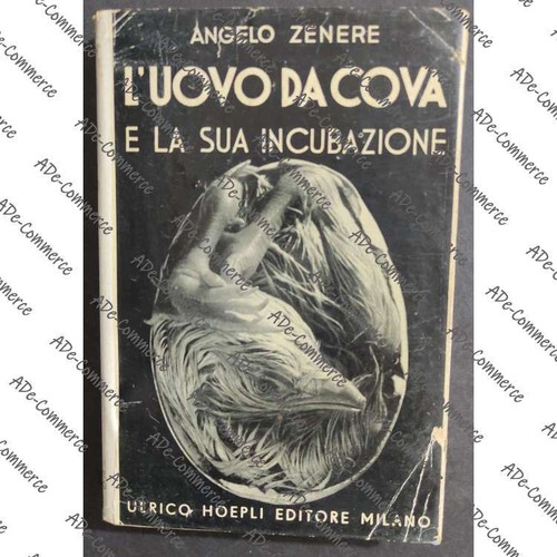 Uovo cova la sua - e,