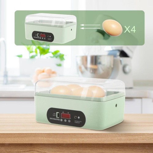 Incubatrice per uova - incubatrice,