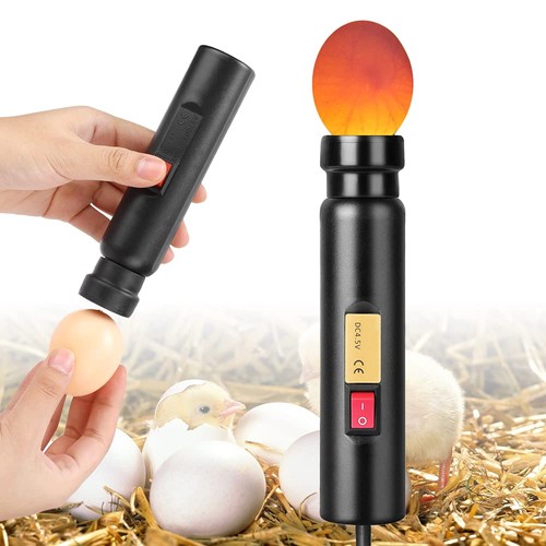 Schierlampe uova gallina da - schierlampe, di