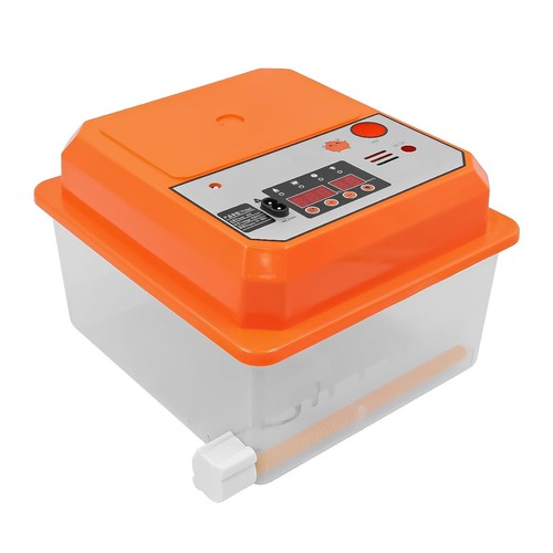 Incubatrice per uova la - incubatrice,