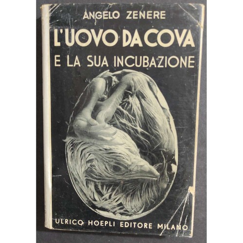Uovo cova la sua - cova, e