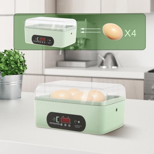 Incubatrice per uova - incubatrice, di